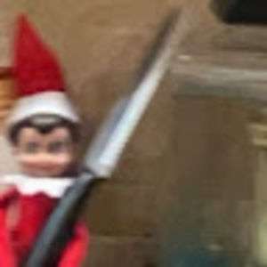 Meet your Posher, Jasmine